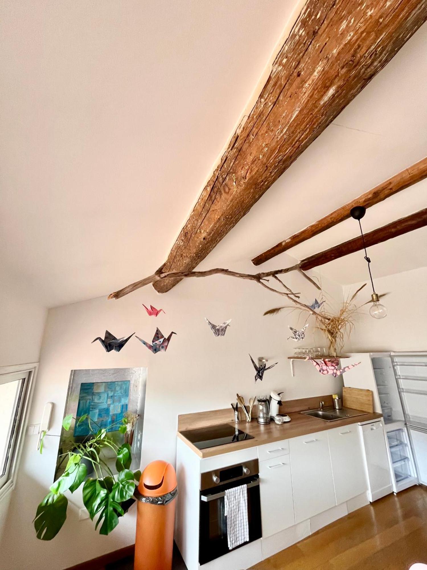 A Spacious, Sunny & Calm Loft In Avignon'S Heart Exteriör bild